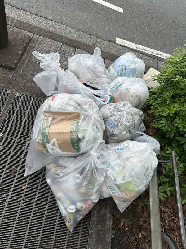 6月表参道キャンペーン収集したゴミ