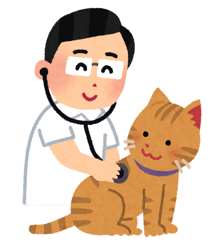 動物病院猫