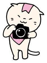 カメラ猫