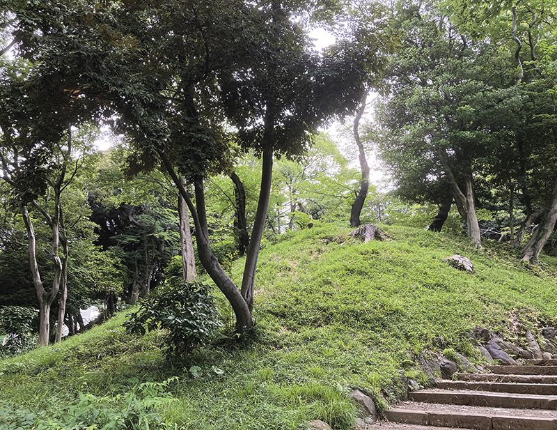 第8回「港区区民景観セレクション」の受賞景観が決定しました