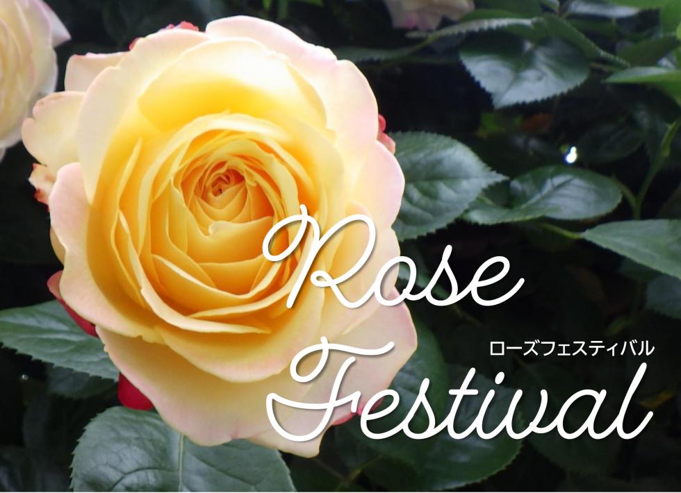 rosefesta