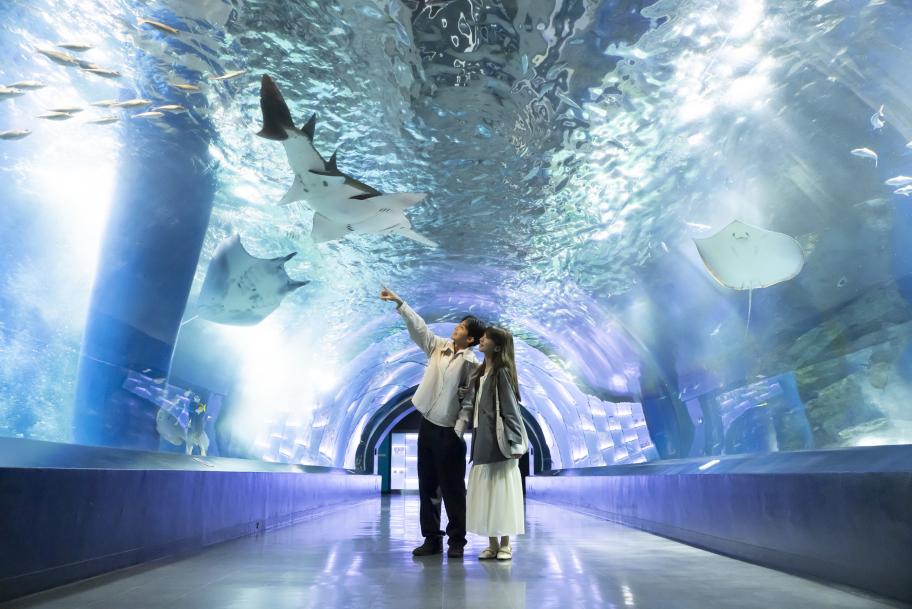 マクセルアクアパーク品川