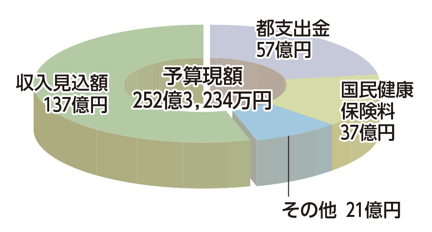 国民健康保険事業会計 歳入