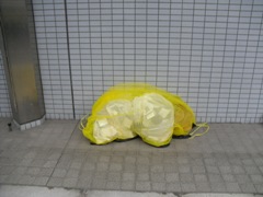 防鳥用ネット使用時