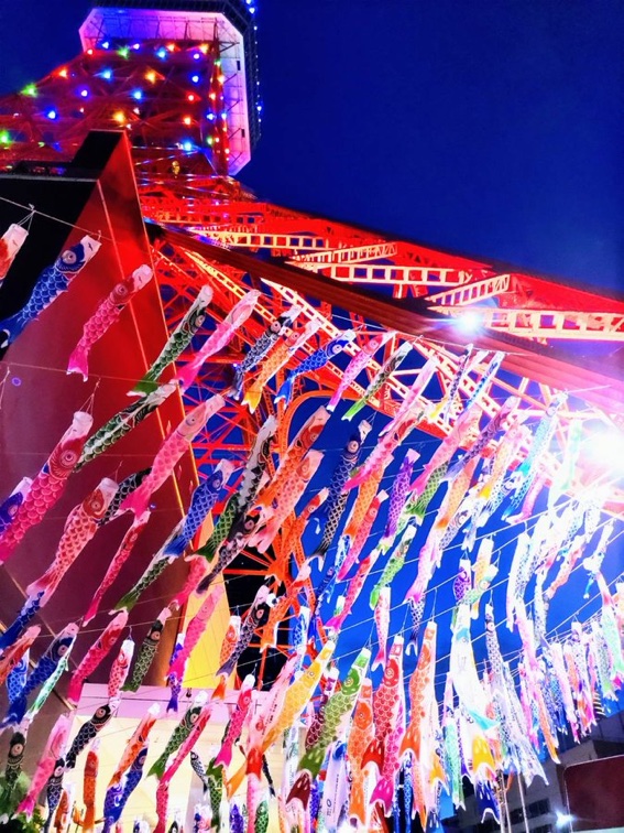 koinobori_night