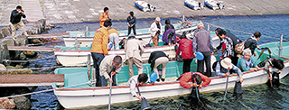 神居海岸パークで行われるウニとり体験の様子（小舟に乗り、タモ網を使ってウニをとる）