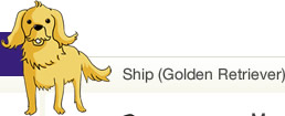 Ship (Golden Retriever)