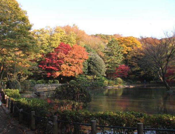 写真：有栖川宮記念公園