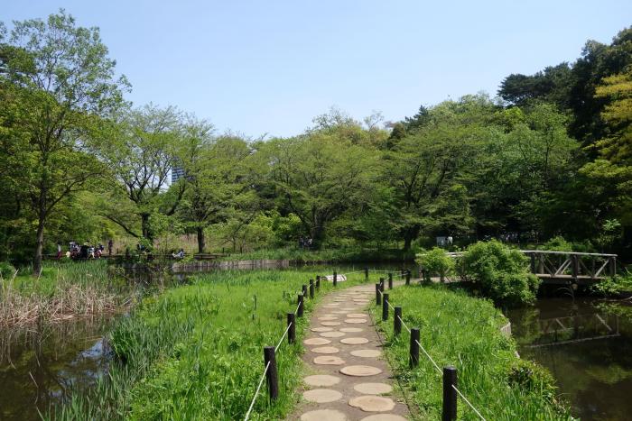 写真：自然教育園