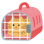 キャリーケース内の猫