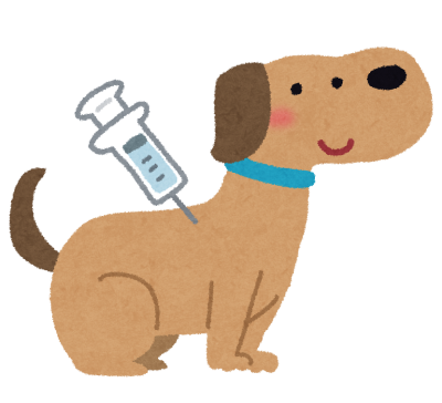 ワクチン接種の犬