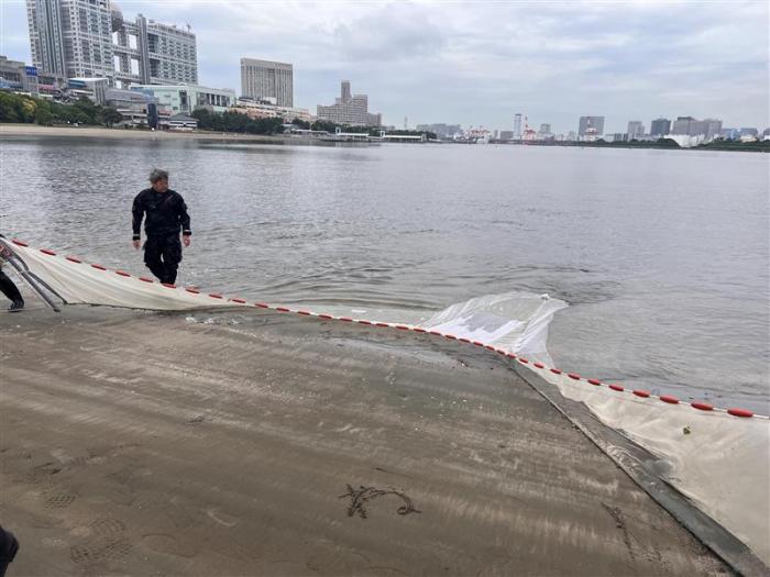 地引網と魚