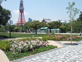 写真：バラの花壇と東京タワー