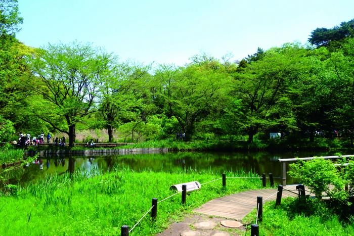 国立科学博物館附属自然教育園