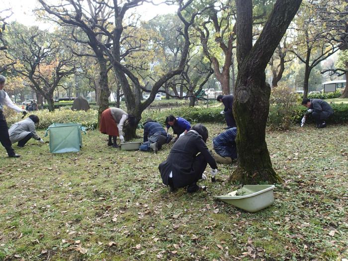 選択的除草（2019年12月11日）