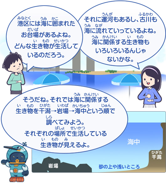 港区には海に囲まれたお台場があるよね。どんな生き物が生活しているのだろう？調べてみよう。そうだね。それでは海に関係する生き物を干潟→岩場→海中という順で調べてみよう。それぞれの場所で生活している生き物が見えるよ。