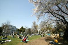 亀塚公園
