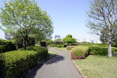 芝浦中央公園