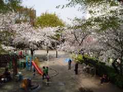 三河台公園1