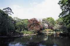有栖川宮記念公園3