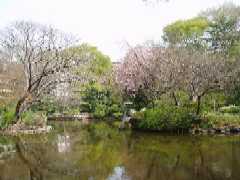 有栖川宮記念公園4