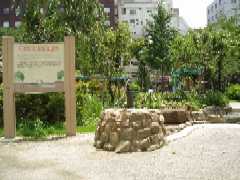 南桜公園2
