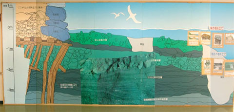 港陽小学校　壁面資料