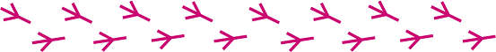 hato_atiato_image