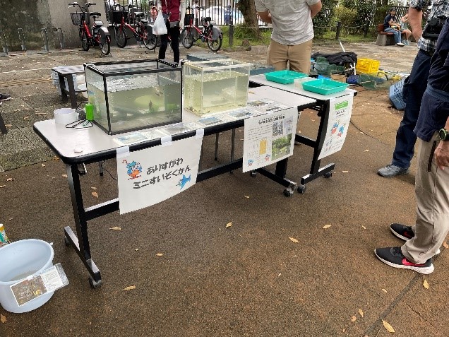 ミニ水族館1