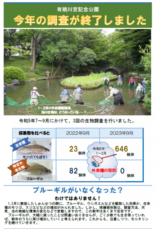 R5調査成果報告チラシ
