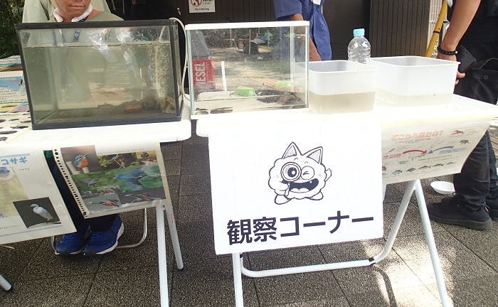 ミニ水族館