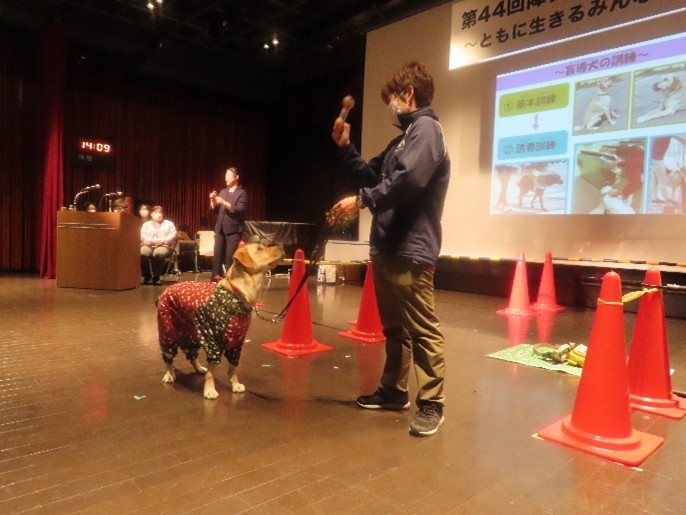 盲導犬に関する講話及びデモンストレーション