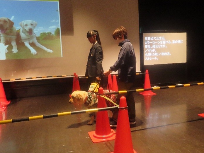 盲導犬の体験学習