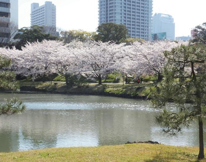 Historical Japanese Garden