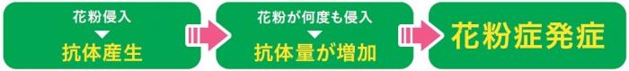 花粉症メカニズム