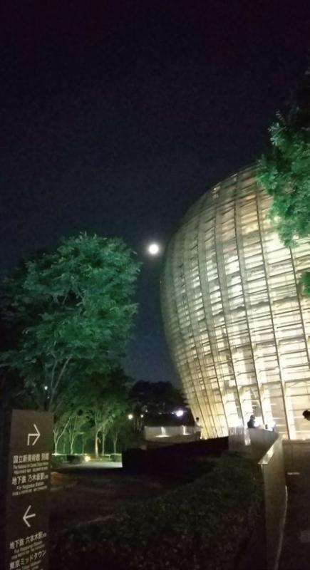 ゆるやかな光に包まれる国立新美術館2