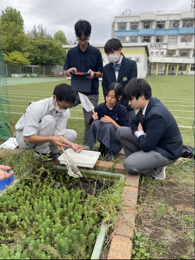 港陽中学校