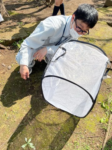 大きな虫かご