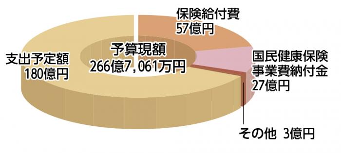 国民健康保険事業会計　歳出