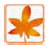 kisetsu-05momiji_2.png