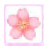 kisetsu-02sakura.png