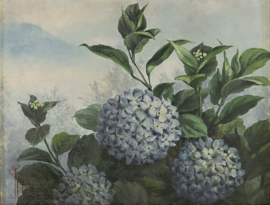 “Hydrangea” by Ragusa Tama