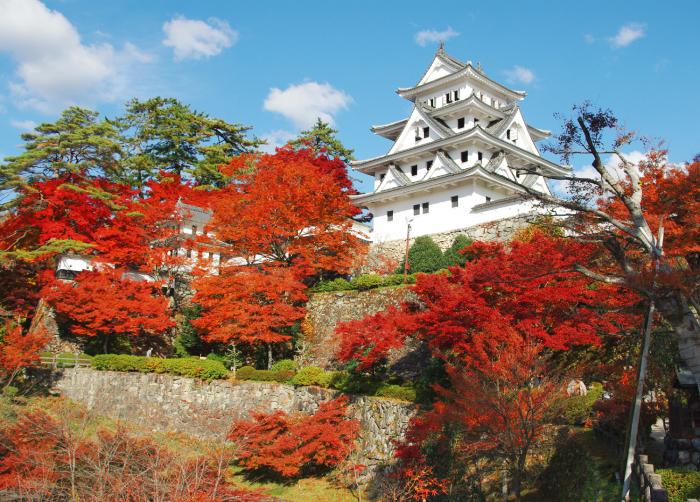 紅葉の郡上八幡城