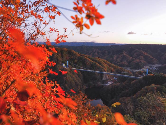 橋
