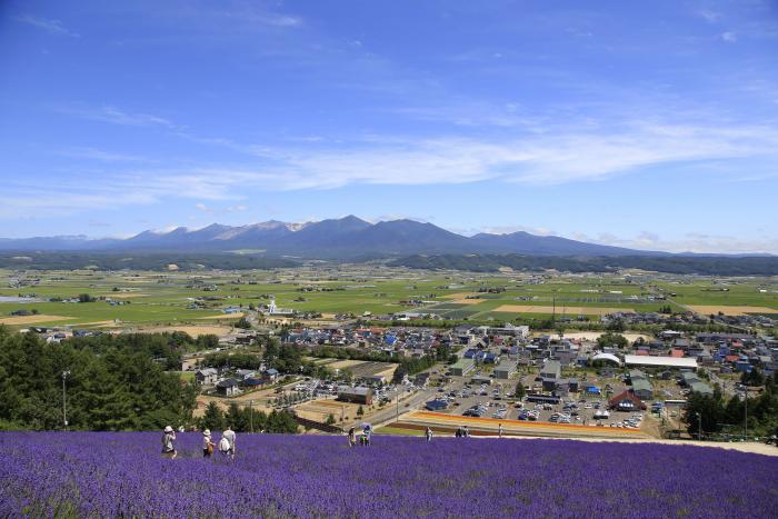 北星山ラベンダー園山頂からの眺望