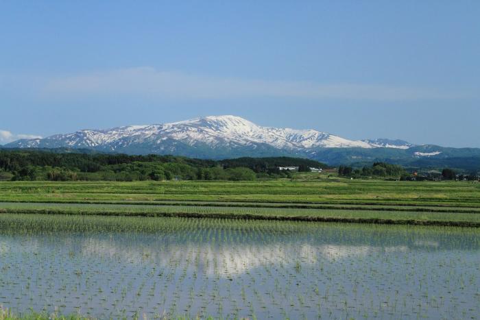 春の月山と庄内平野