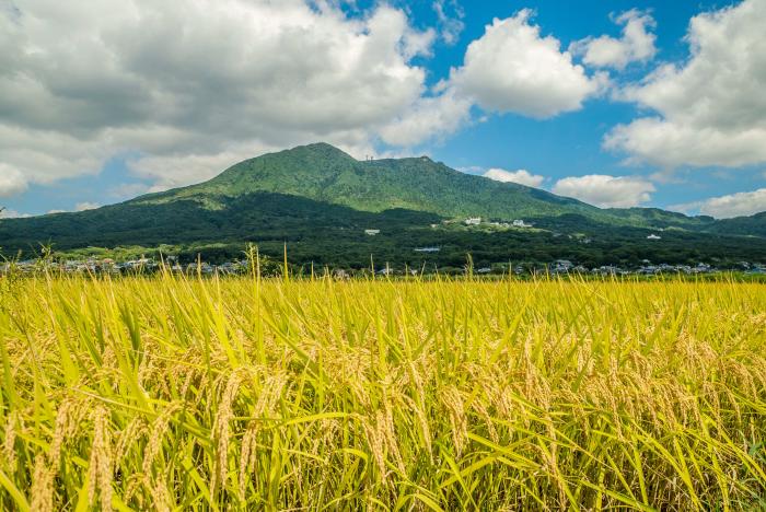 筑波山と田園風景