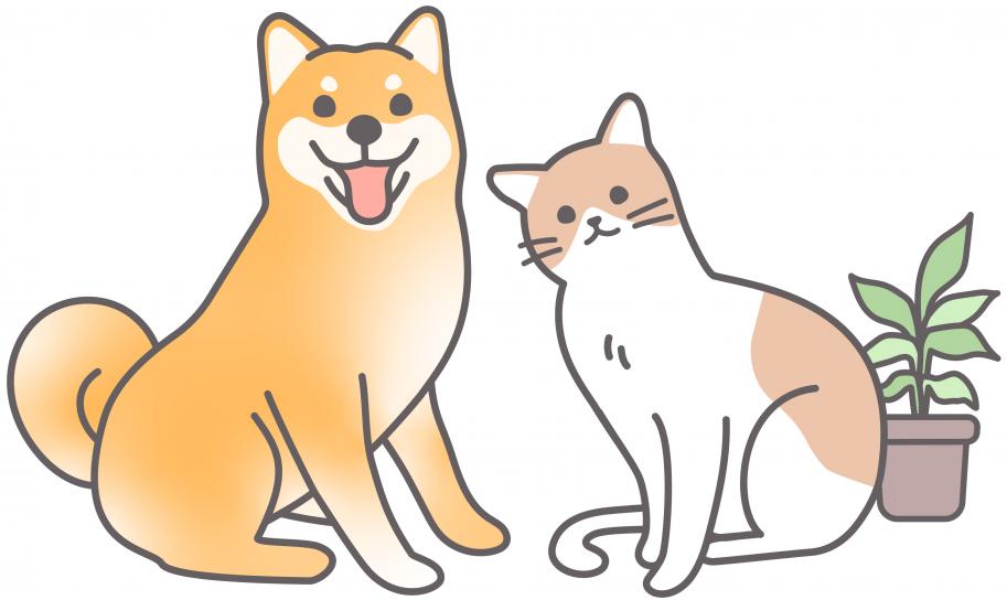 犬猫