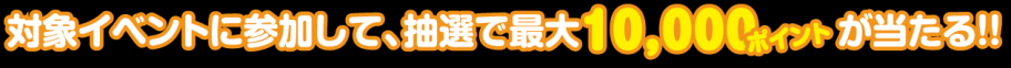 ポイント