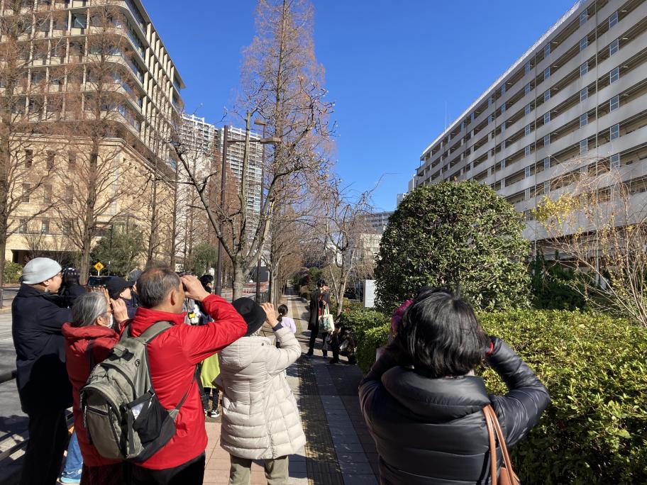 運河でバードウォッチング